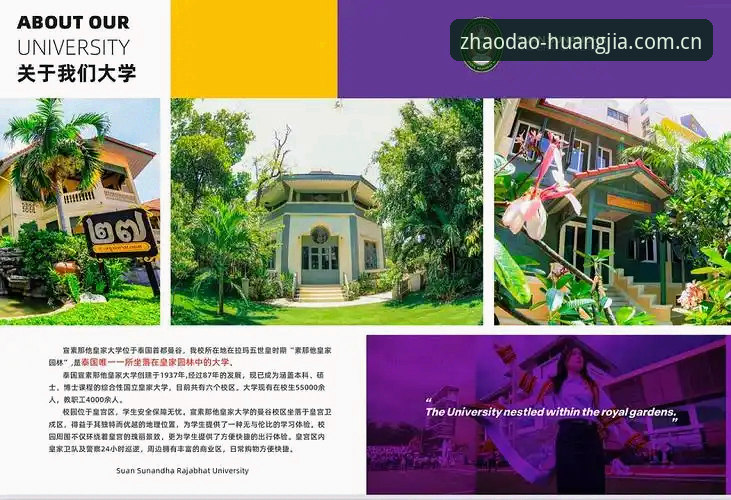 皇家国际在线2025年最新通道使用指南：老用户教你一步直达官方入口